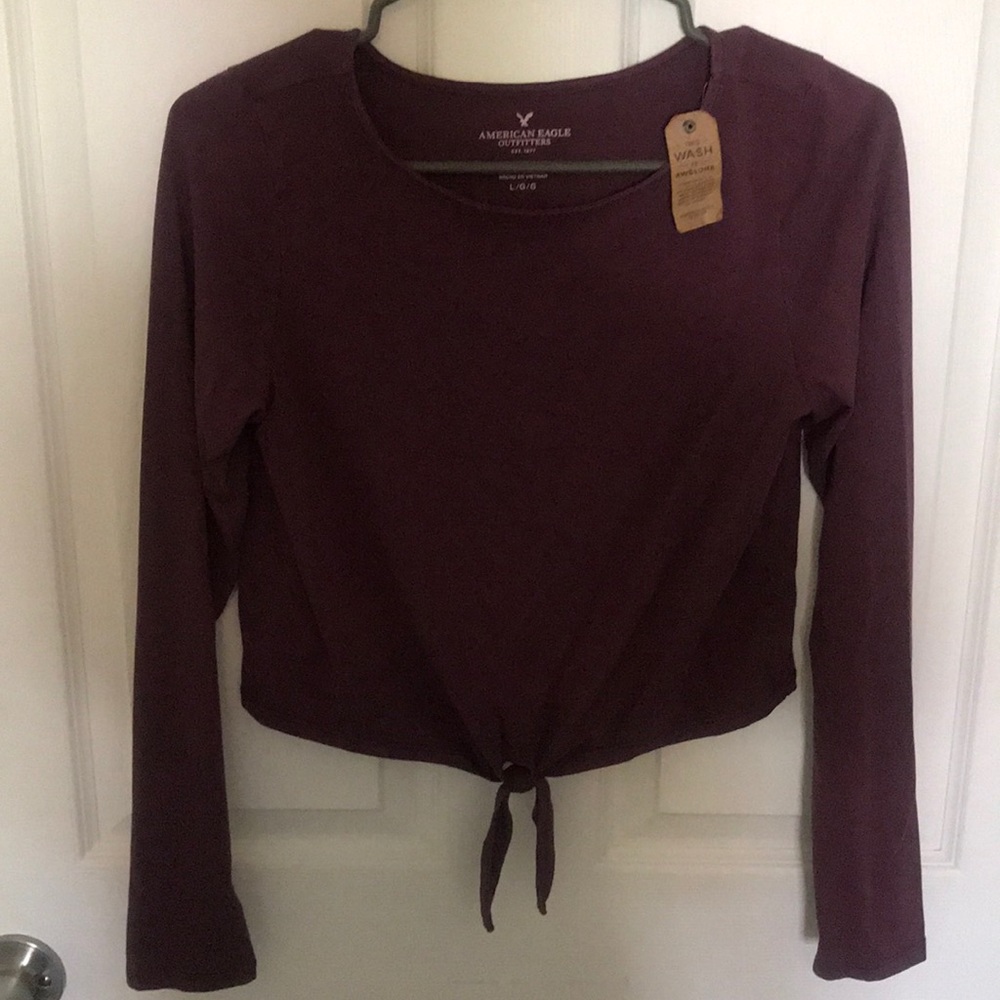American Eagle Long Sleeve Crop